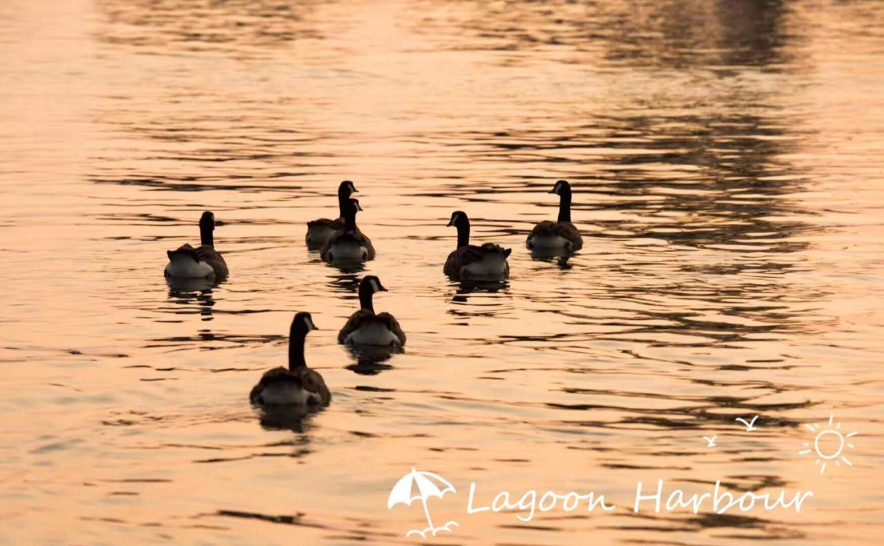 Lagoon Harbour Resort & Hotel Orillia Bagian luar foto